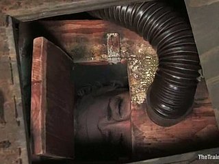 Procace e bottino biondi Lorelei Lee ottiene sepolti