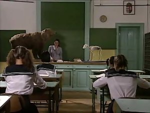 sale école italienne
