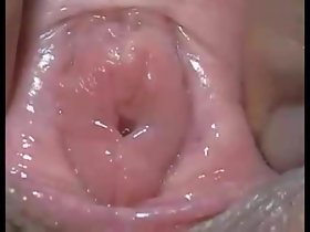 सुसान बिल्ली बकवास छेद क्लोज अप बहन