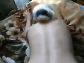 köpek 2