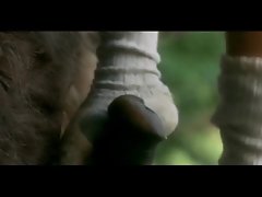 जानवर में सिरपा लेन