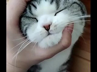 分かった、分かった
