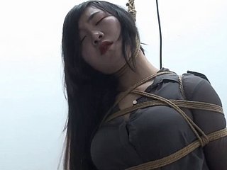 chinese xiaoyao 352