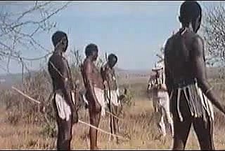 Afrika penis yang besar! Safari nyata!