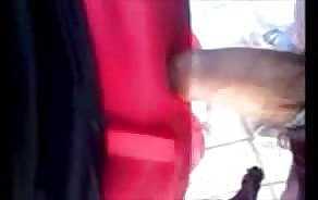 포르노 비디오 버스 정류장